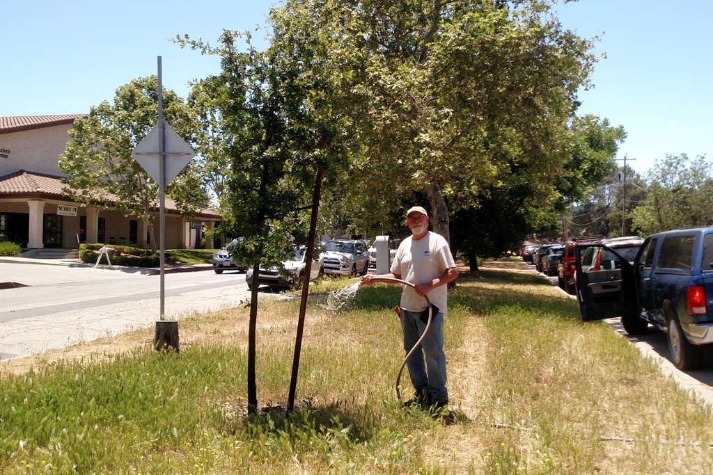 Watering at the Atascadero Avenue median strip.